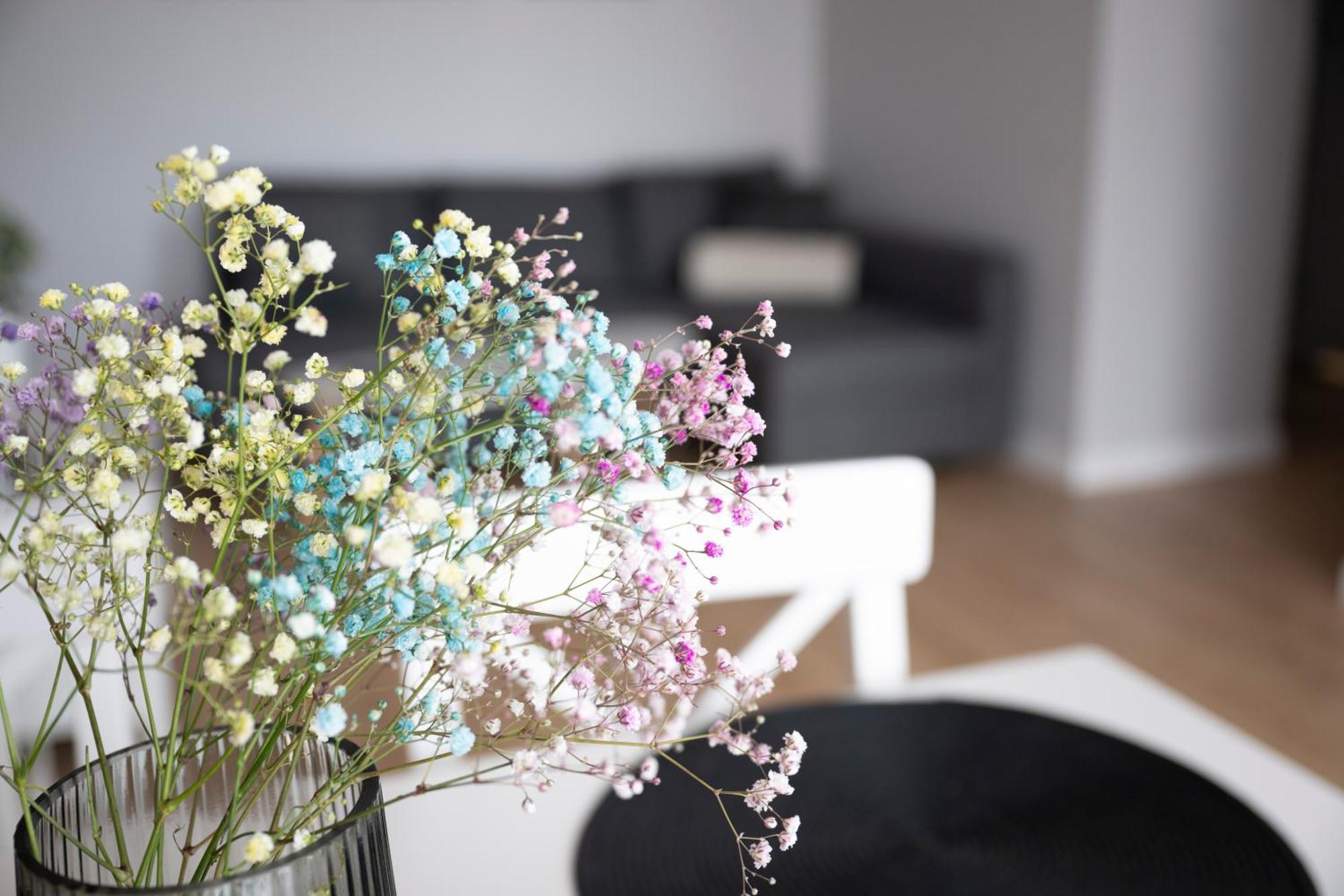 Apartamenty Deluxe Гданск Екстериор снимка